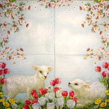 011 Sheep - 3-ply (11)